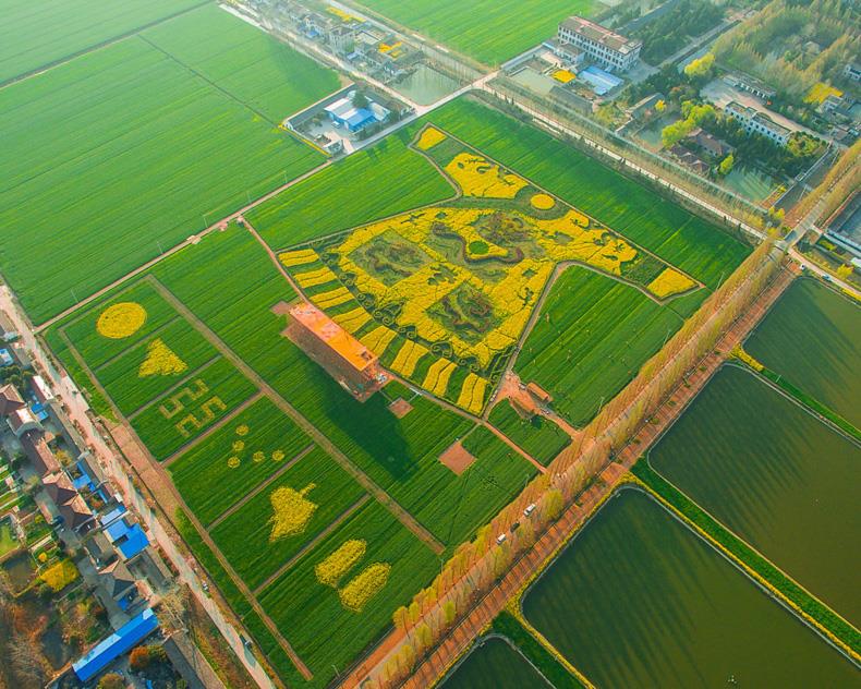 六合龍袍鎮 六合龍袍鎮